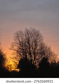 Silhouetted trees against dramatic sunset sky with glowing horizon