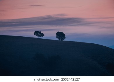 Silhouetted trees atop a rolling hill against a dusk sky, blending pink and blue hues with soft clouds. - Powered by Shutterstock