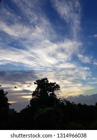Silhouetted trees in front of dramatic clouds at sunrise