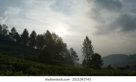 Silhouetted trees and a misty landscape under a cloudy sky.  The sun peeks through the clouds, casting a warm glow over the scene. - Powered by Shutterstock