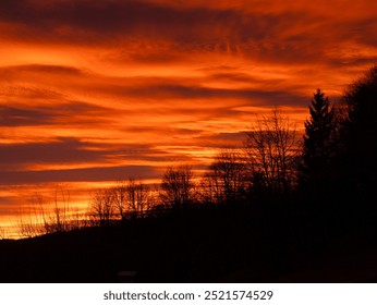 Silhouetted trees stand against the dramatic sky with colourful clouds rolling by. Countryside is bathed in warm glow of a fiery sunset, with sky ablaze in shades of orange. Stunning evening scenery. - Powered by Shutterstock