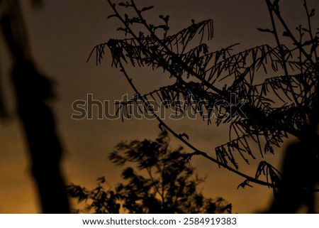 Similar – Image, Stock Photo Silhouetted trees stand against a fiery red sky reflected in a tranquil water body at twilight
