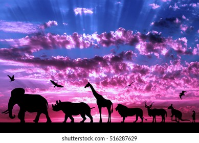 Silhouettes Of Animals On Purple Cloudy Sunset Background