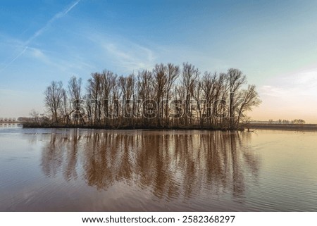 Similar – Image, Stock Photo bare tree reflected in blue lime lake, former limestone quarry