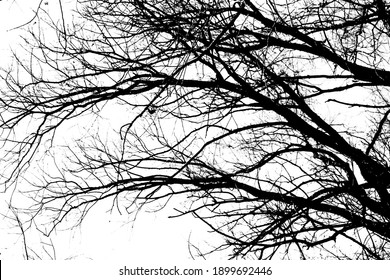 1,133 Negative branches silhouette tree Images, Stock Photos & Vectors ...