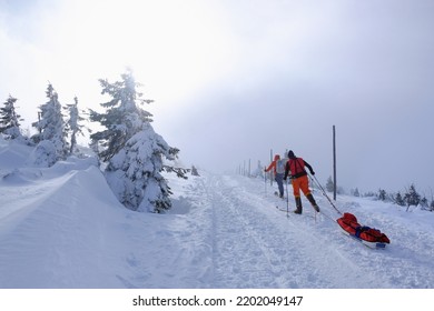 Silhouettes Of Cross Country Skiers With With Sledges On Mountain Trail In Beautiful Winter Scenery. During Trip Around Sniezka Mount, Karkonosze Mountains (Giant Mountains), Poland