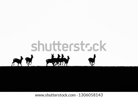 Similar – Image, Stock Photo steppe ride Ride Nature