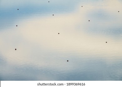 Silhouettes Of Eleven Buoys, Or Floating Markers, On A Race Course For Rowers. Aerial View.
