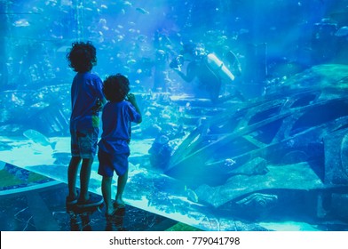 Silhouettes Kids In Big Aquarium. Dubai.