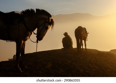 Silhouettes of men and the horses on the top of the hill with misty atmosphere 