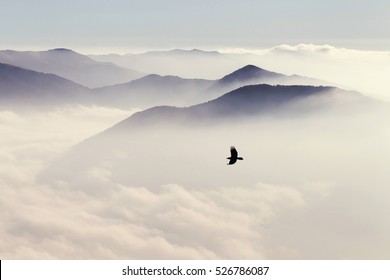 Silhouettes of mountains in the mist and bird flying in warm toning - Powered by Shutterstock