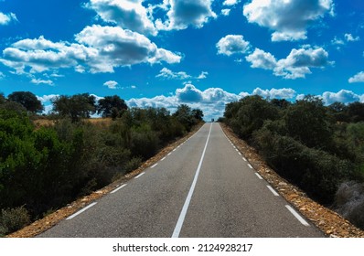 Silhouettes On The Road. Perspective. Vanishing Point.