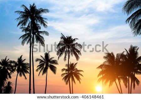 Silhouettes of palm trees against the sky during a tropical sunset.
