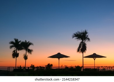 silhouettes of palm trees and umbrella tents before dawn, golden hours before sunset
