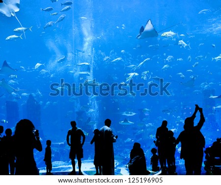 silhouettes of people against a big aquarium