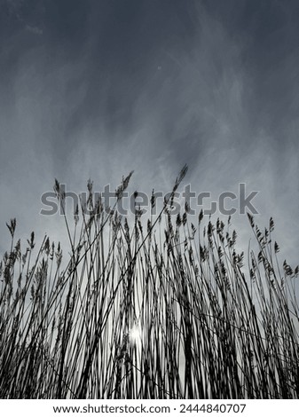 Foto Bild Sky Umwelt Natur