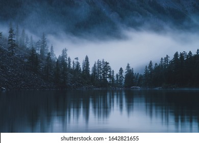 Silhouettes of pointy fir tops on hillside along mountain lake in dense fog. Reflection of coniferous trees in shiny calm water. Alpine tranquil landscape at early morning. Ghostly atmospheric scenery - Powered by Shutterstock