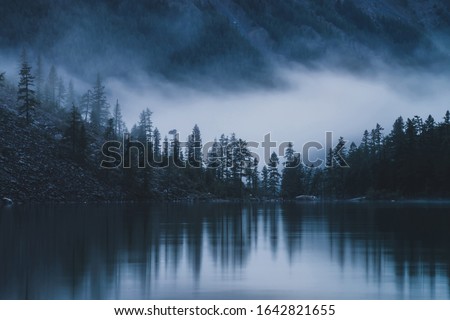 Silhouettes of pointy fir tops on hillside along mountain lake in dense fog. Reflection of coniferous trees in shiny calm water. Alpine tranquil landscape at early morning. Ghostly atmospheric scenery