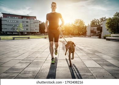 Silhouettes of runner and dog on city street under sunrise sky in morning time. Outdoor walking. Athletic young man with his dog are running in town.