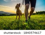 Silhouettes of runner and dog on field under golden sunset sky in evening time. Outdoor running. Athletic young man with his dog are running in nature.