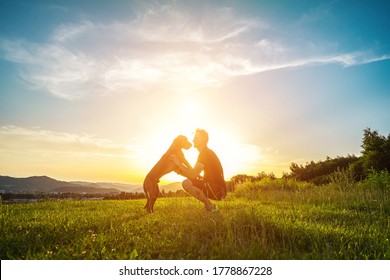 Silhouetten von Läufer und Hund auf dem Feld unter goldenem Sonnenuntergang Himmel in der Abendzeit. Outdoor läuft. Athletischer junger Mann mit seinem Hund macht Spaß in der Natur.