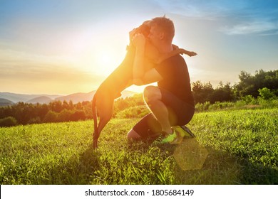 Silhouettes of runner and dog on field under golden sunset sky in evening time. Outdoor running. Athletic young man with his dog are funning in nature.