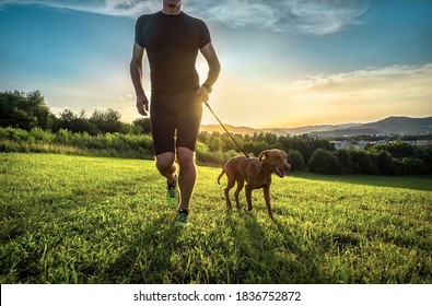 Silhouetten von Läufer und Hund auf dem Feld unter goldenem Sonnenuntergang Himmel in der Abendzeit. Outdoor läuft. Athletischer junger Mann mit seinem Hund laufen in der Natur.
