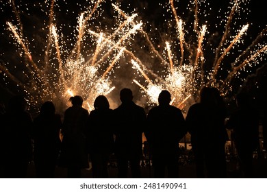 Silhouettes standing while watching multicolored fireworks at night