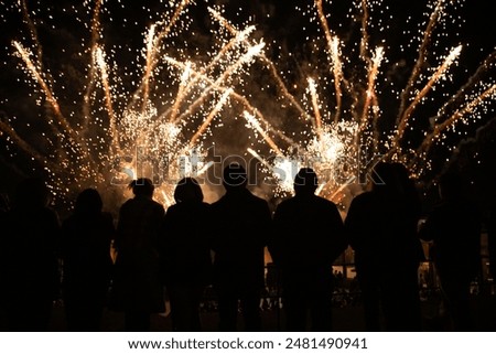 Silhouettes standing while watching multicolored fireworks at night
