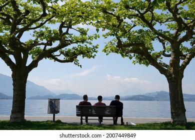 Silhouettes of three persons sitting on a bench. Scene from lake Zug in city Zug in Switzerland. The bench is placed between two plate trees. Their crowns meet above in the bench.