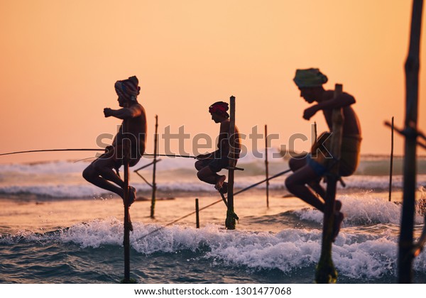 Silhouettes of the traditional fishermen.\
Traditional stilt fishing near Galle in Sri\
Lanka.