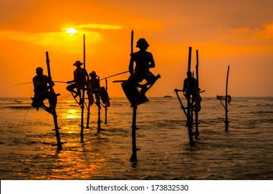 Silhouettes of the traditional fishermen at the sunset in Sri Lanka - Powered by Shutterstock
