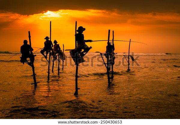 Silhouettes of the traditional fishermen at the\
sunset in Sri Lanka