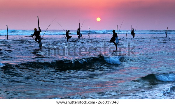 Silhouettes of the traditional stilt fishermen at\
sunset near Galle in Sri\
Lanka