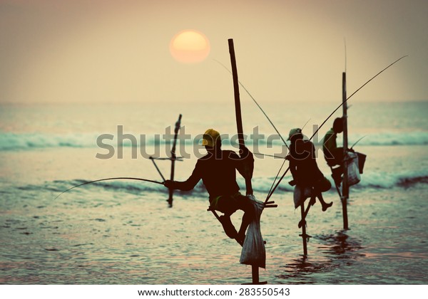 Silhouettes of the traditional stilt fishermen at\
sunset near Galle in Sri\
Lanka