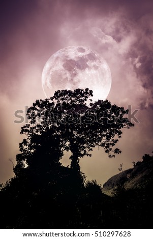 Blue Sky Full Moon But Not Blue Moon >> Silhouettes Tree Against Dark Blue Sky Stock Photo Edit Now Blue Sky Full Moon But Not Blue Moon >> Silhouettes Tree Against Dark Blue Sky Stock Photo Edit Now