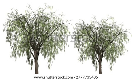 Silhouettes of two leafless willow trees with long drooping branches in a foggy landscape, evoking a serene winter atmosphere.