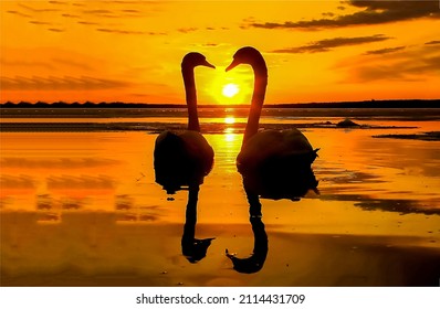 Silhouettes of two swans at sunset. Two swans sunset silhouette. Swans at sunset. Swan silhouettes at sunset