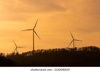 Silhouettes Of Wind Turbines Standing In The Forest With Pale Orange Sky From Sahara Dust