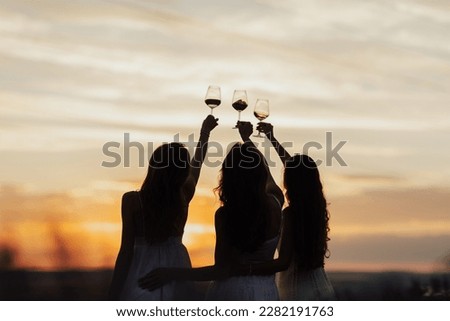 Silhouettes of women in the park in evening sunlight. The lights of a sun. The company of female friends enjoys a summer picnic and raise glasses with wine. 