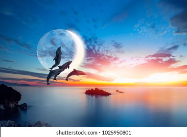 Silhoutte of beautiful dolphins jumping up from the sea at sunset with crescent moon 
