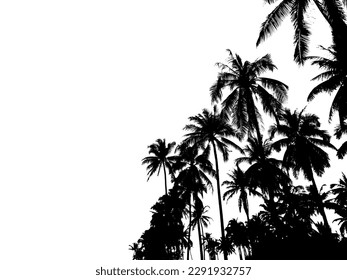 Silhoutte coconut trees isolated on white background. Black palm plant on summer beach.