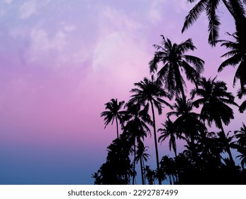 Silhoutte coconut trees over dramatic sky background. Black palm plant on summer beach.