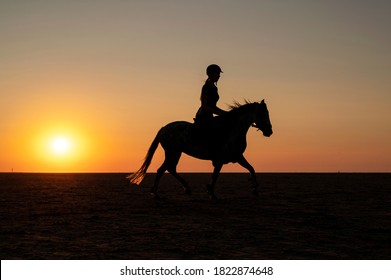 308 Horse silhoutte Images, Stock Photos & Vectors | Shutterstock