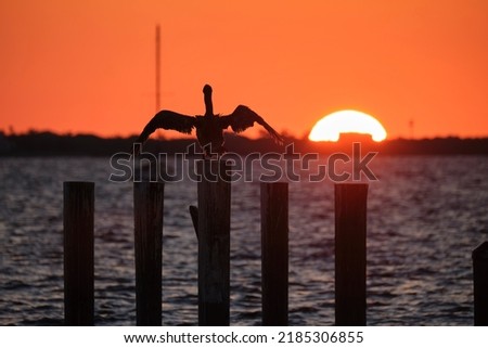 Silhuette of lonely pelican bird with spread wings on top wooden fence pole against bright orange sunset sky over lake water and big setting sun
