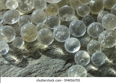 Silica Gel