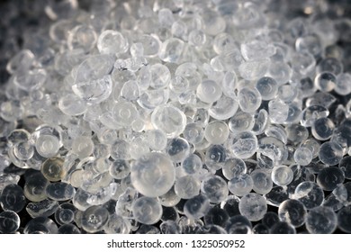 Silica Gel Desiccant Beads Stock Photo (Edit Now) 1325050964 Silica Gel Desiccant Beads Stock Photo (Edit Now) 1325050964