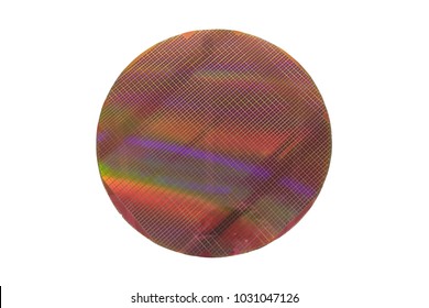 a silicon ICs wafers with magenta color reflect  on white background.