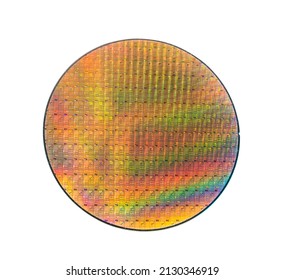 Silicon Wafer With Chips Isolated On White Background