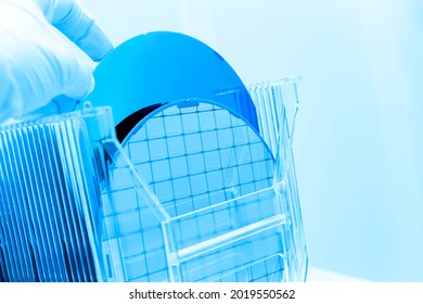 Silicon Wafers In Storage Box On Table In Clear Room Prepared For Production Of Semiconductor Foundry.